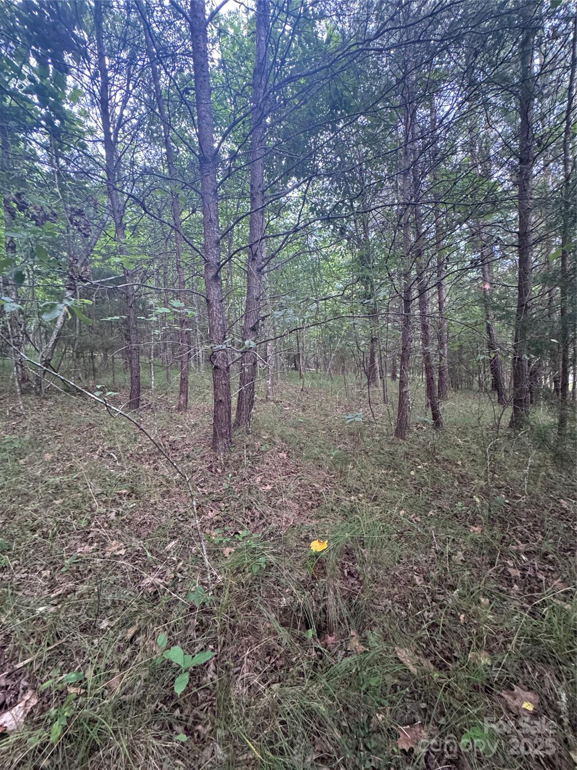 0 Cross Creek Drive Rutherfordton NC