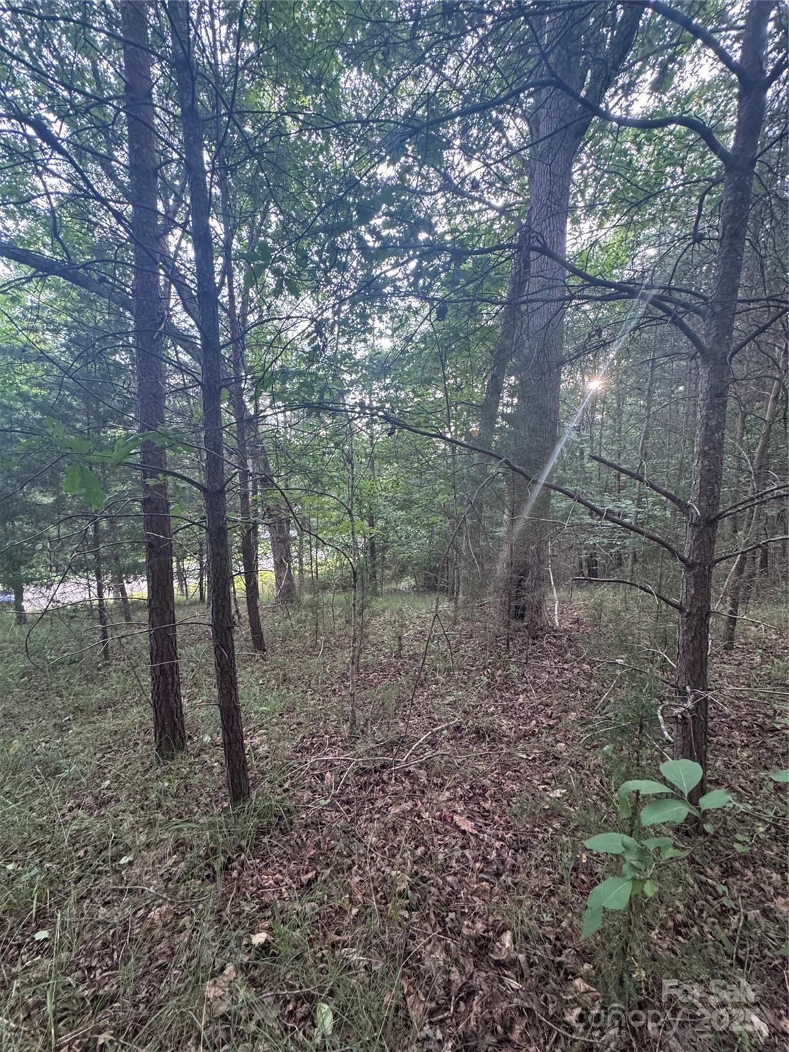 0 Cross Creek Drive Rutherfordton NC