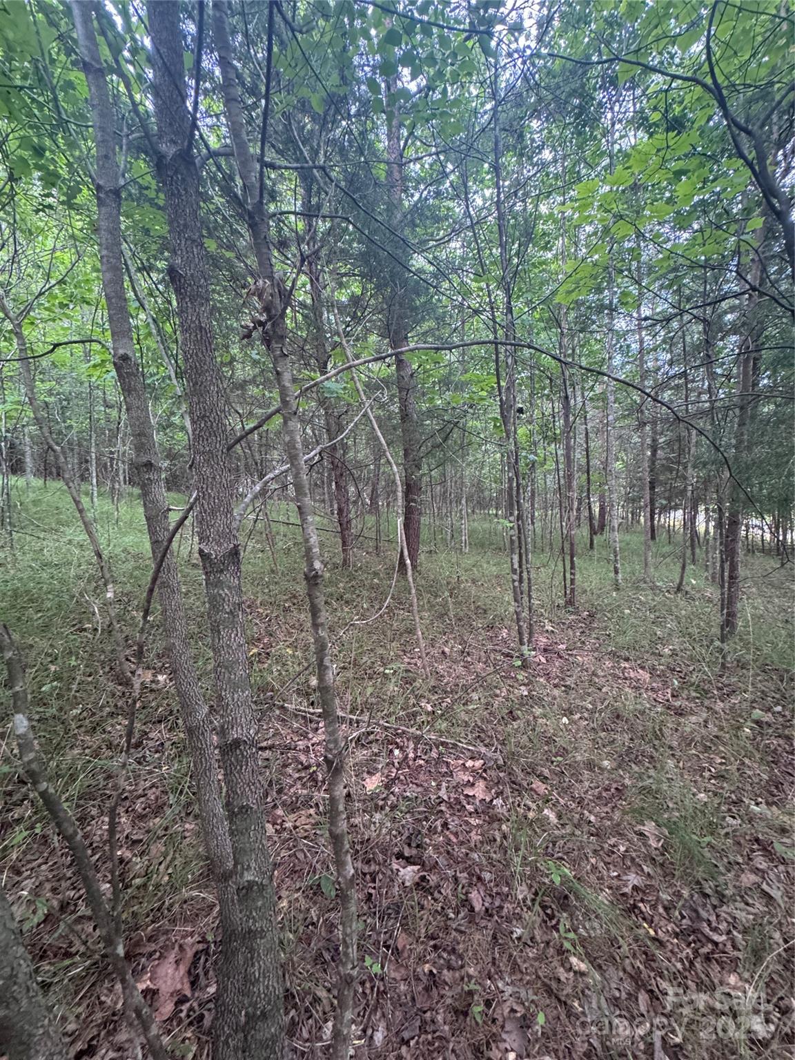 0 Cross Creek Drive Rutherfordton NC