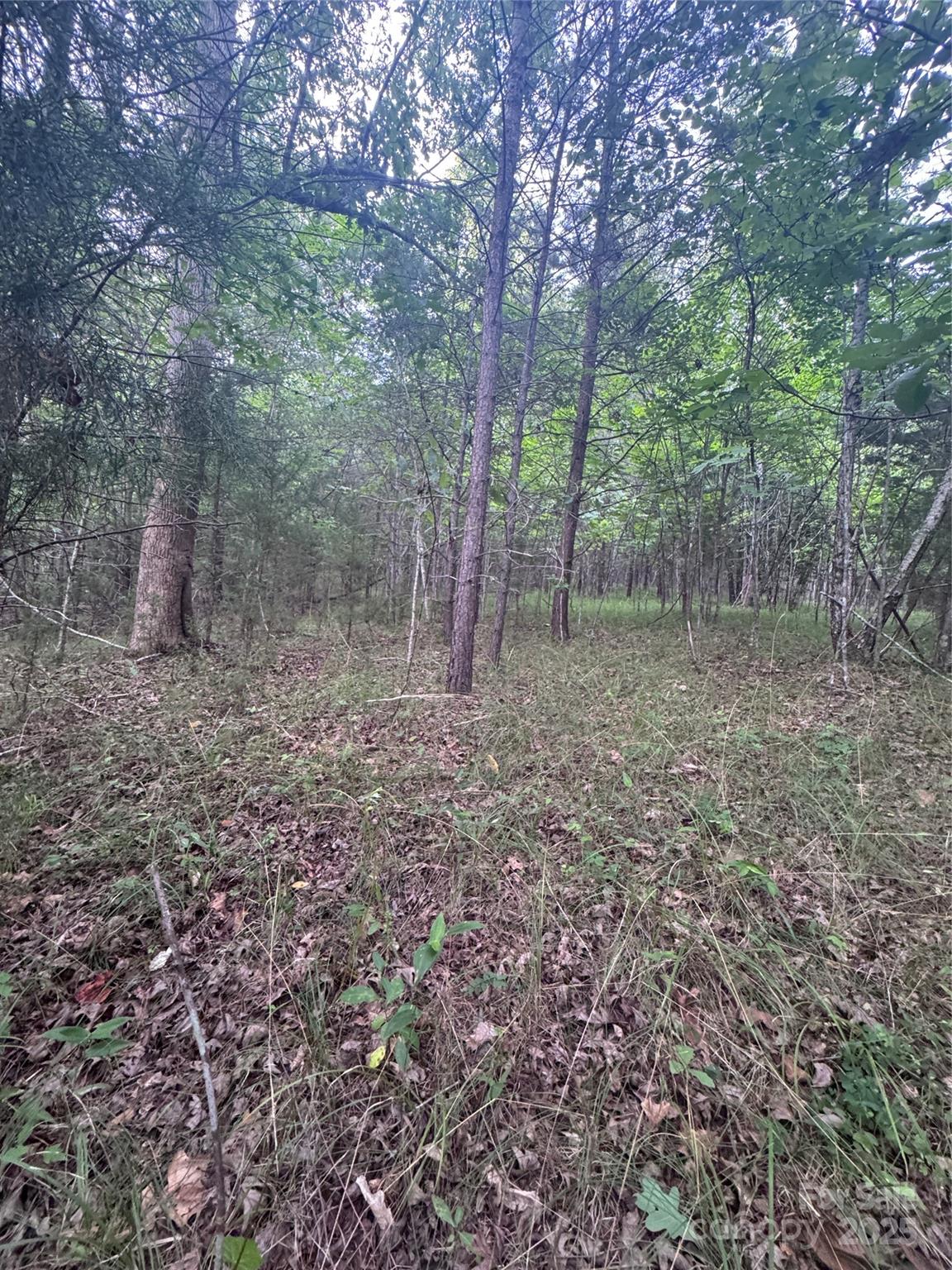 0 Cross Creek Drive Rutherfordton NC