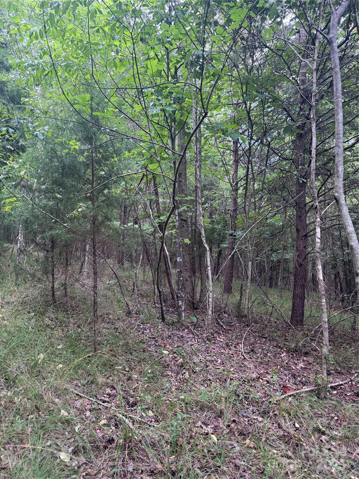 0 Cross Creek Drive Rutherfordton NC