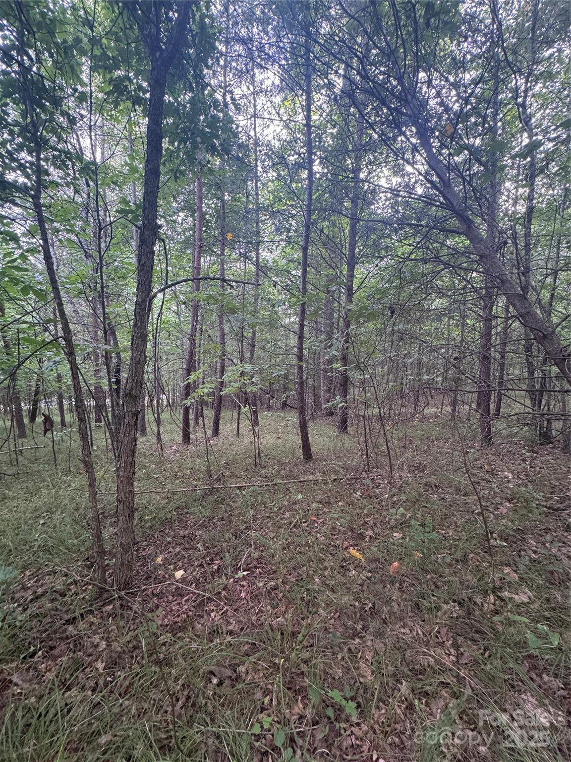 0 Cross Creek Drive Rutherfordton NC