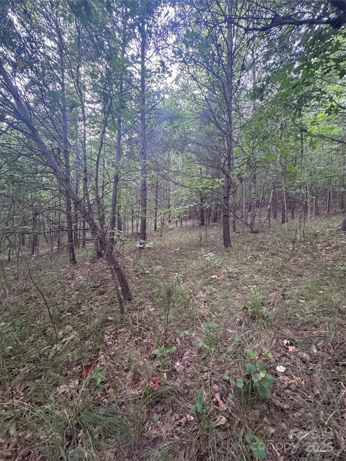 0 Cross Creek Drive Rutherfordton NC