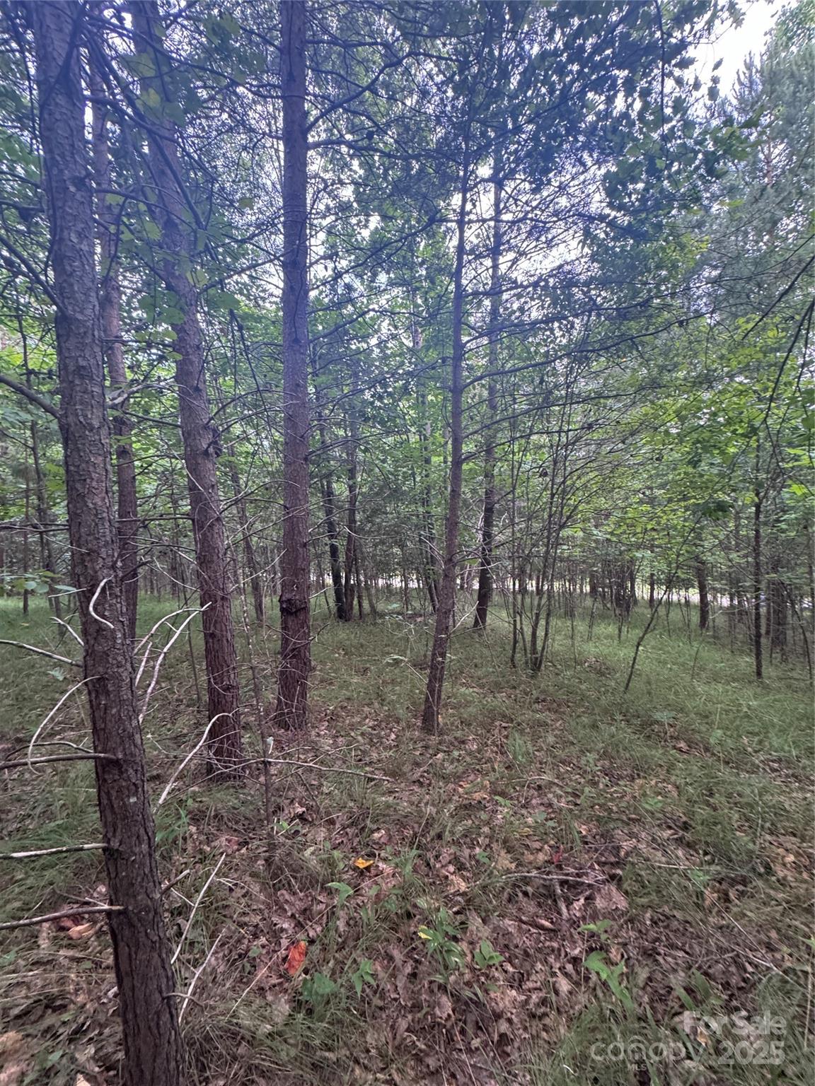 0 Cross Creek Drive Rutherfordton NC