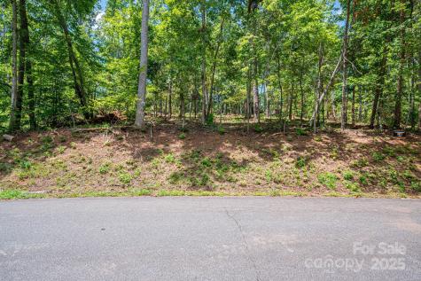 Lot 191 Plantation Drive Rutherfordton NC 28139