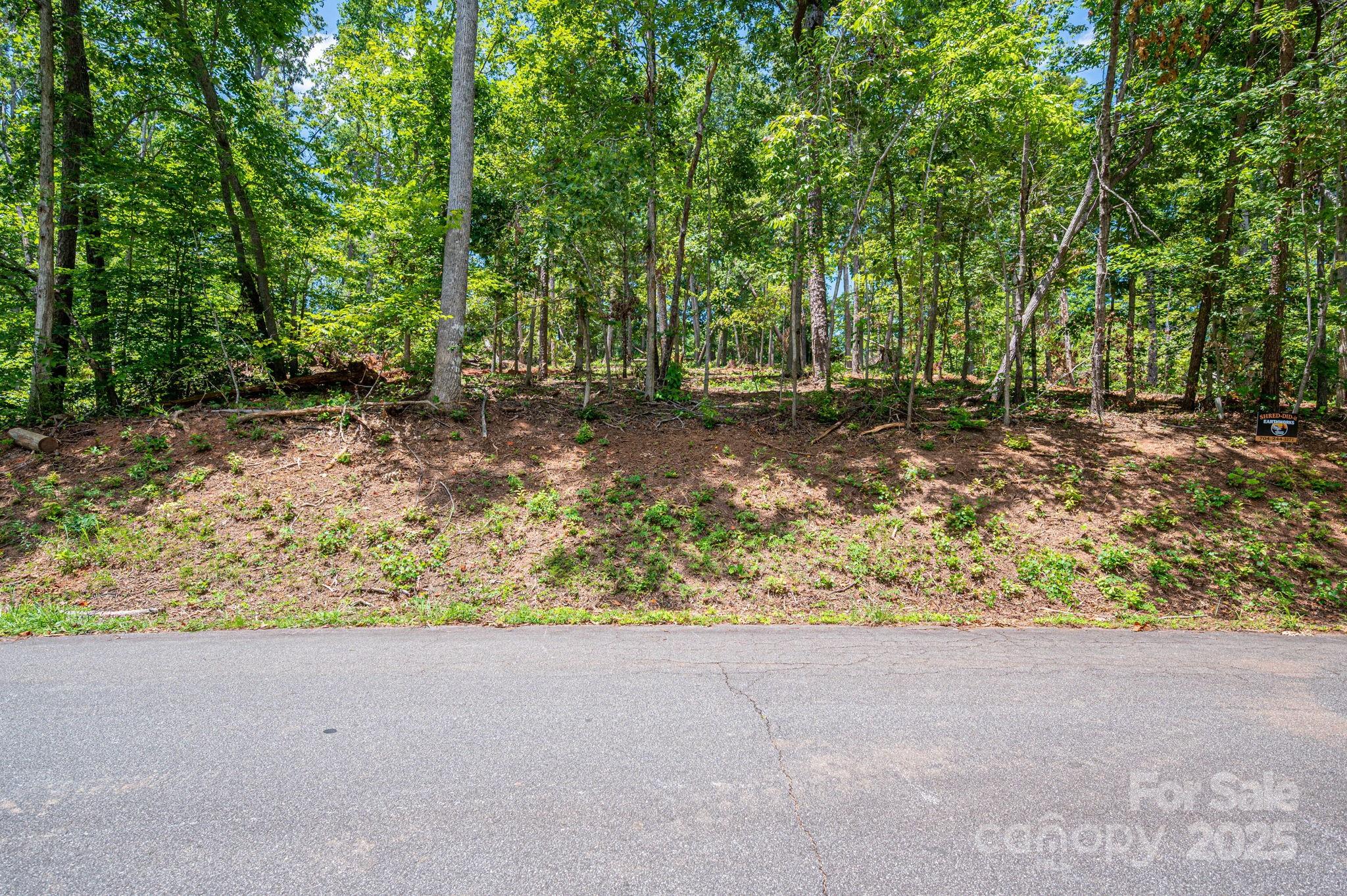 Lot 191 Plantation Drive Rutherfordton NC 28139