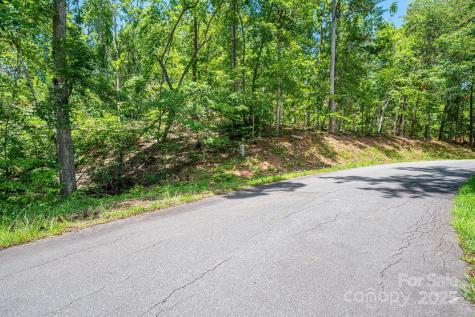 Lot 191 Plantation Drive Rutherfordton NC 28139