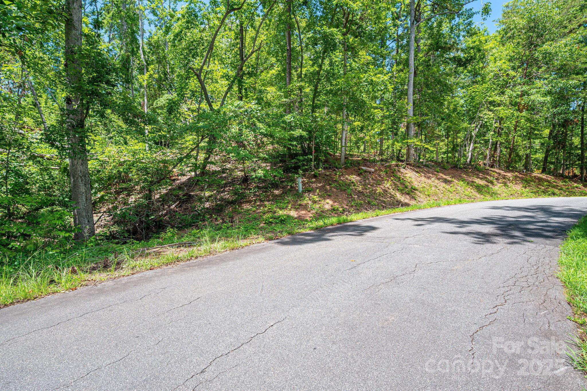 Lot 191 Plantation Drive Rutherfordton NC 28139