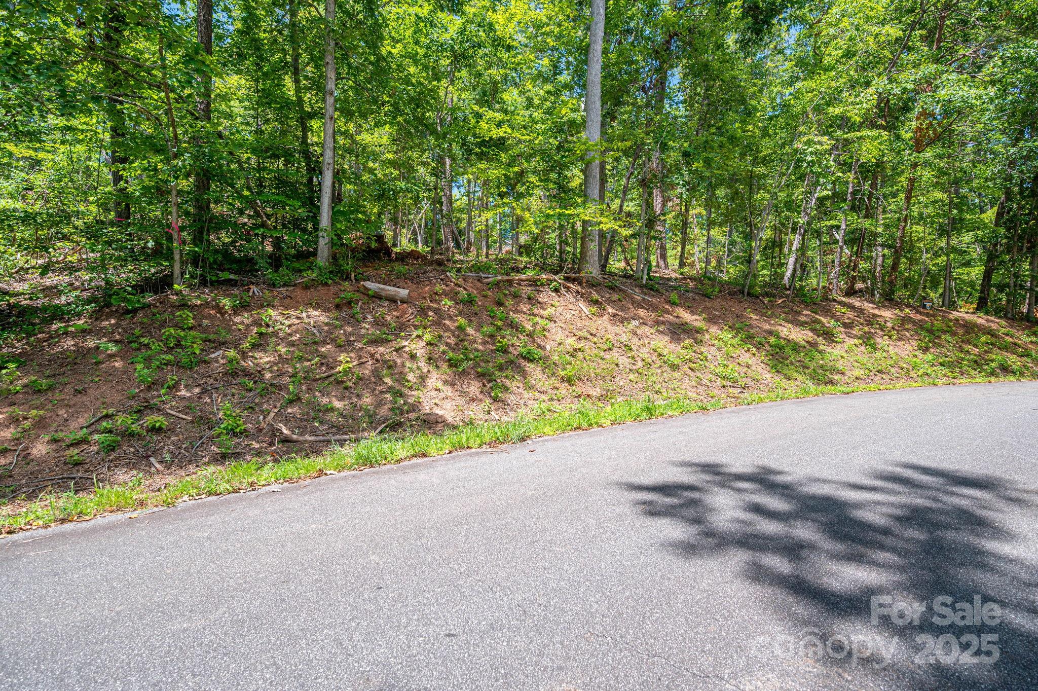Lot 191 Plantation Drive Rutherfordton NC 28139
