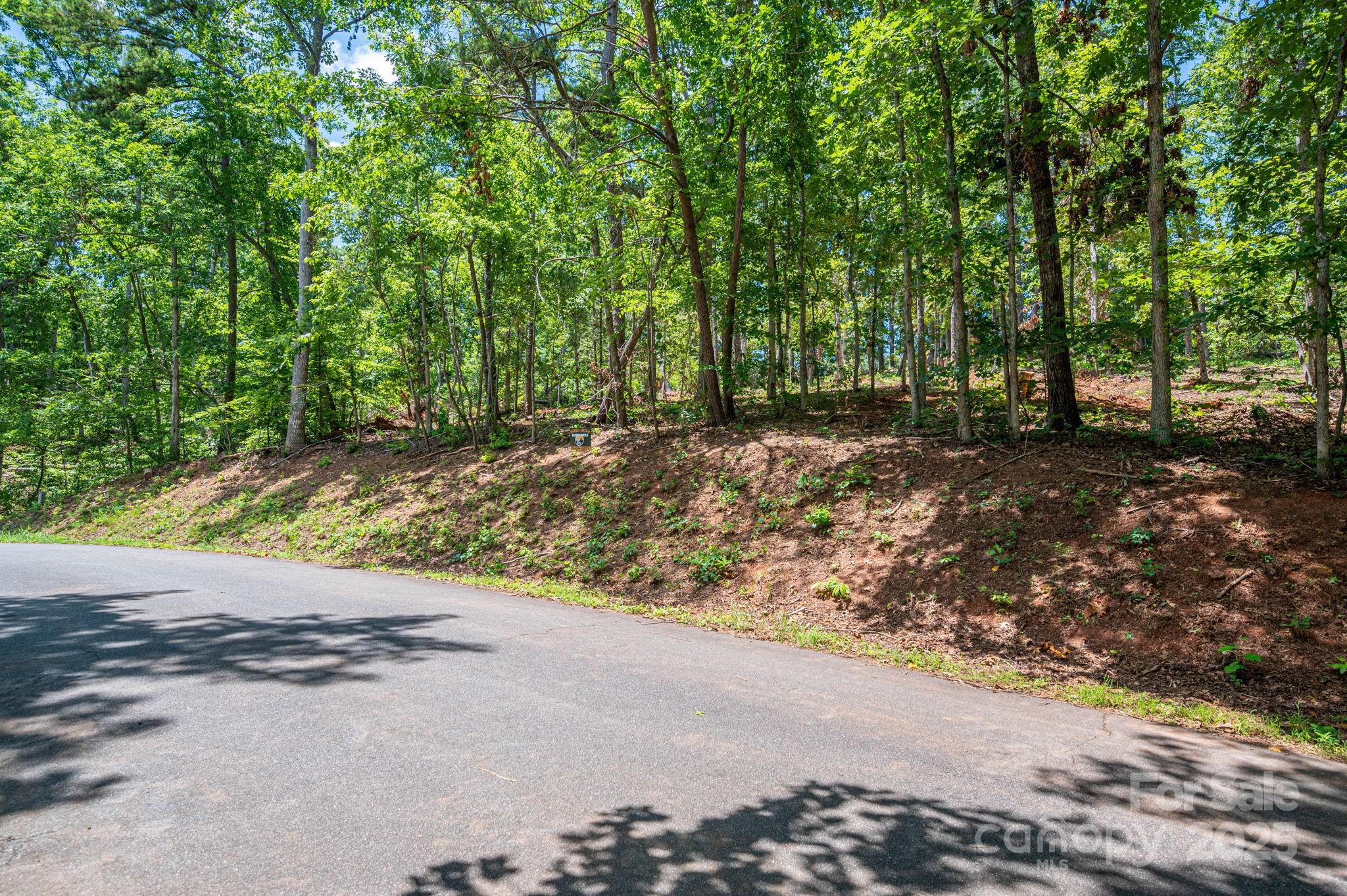 Lot 191 Plantation Drive Rutherfordton NC 28139