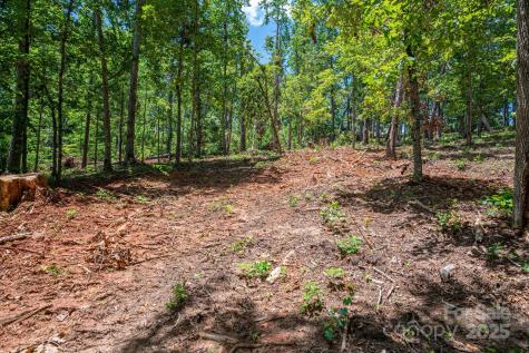 Lot 191 Plantation Drive Rutherfordton NC 28139