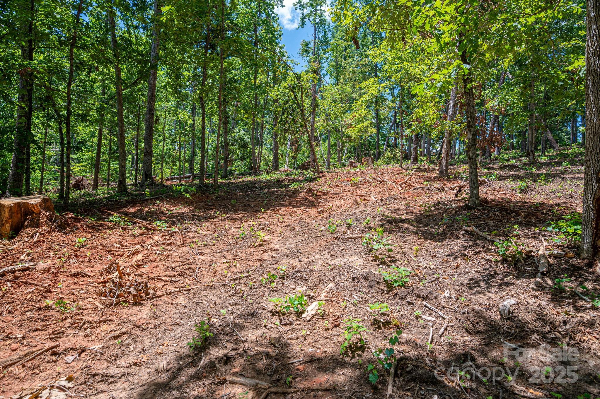 Lot 191 Plantation Drive Rutherfordton NC 28139