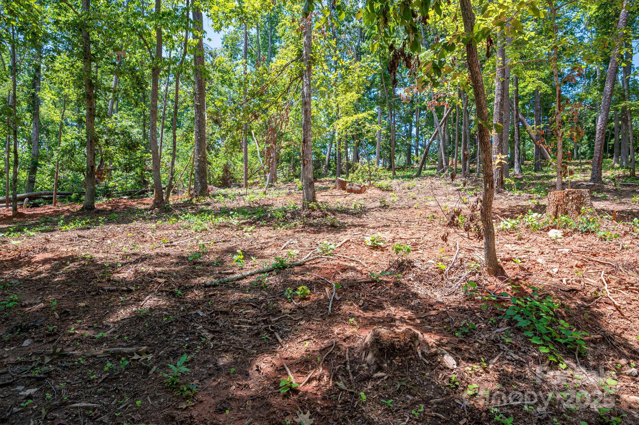 Lot 191 Plantation Drive Rutherfordton NC 28139