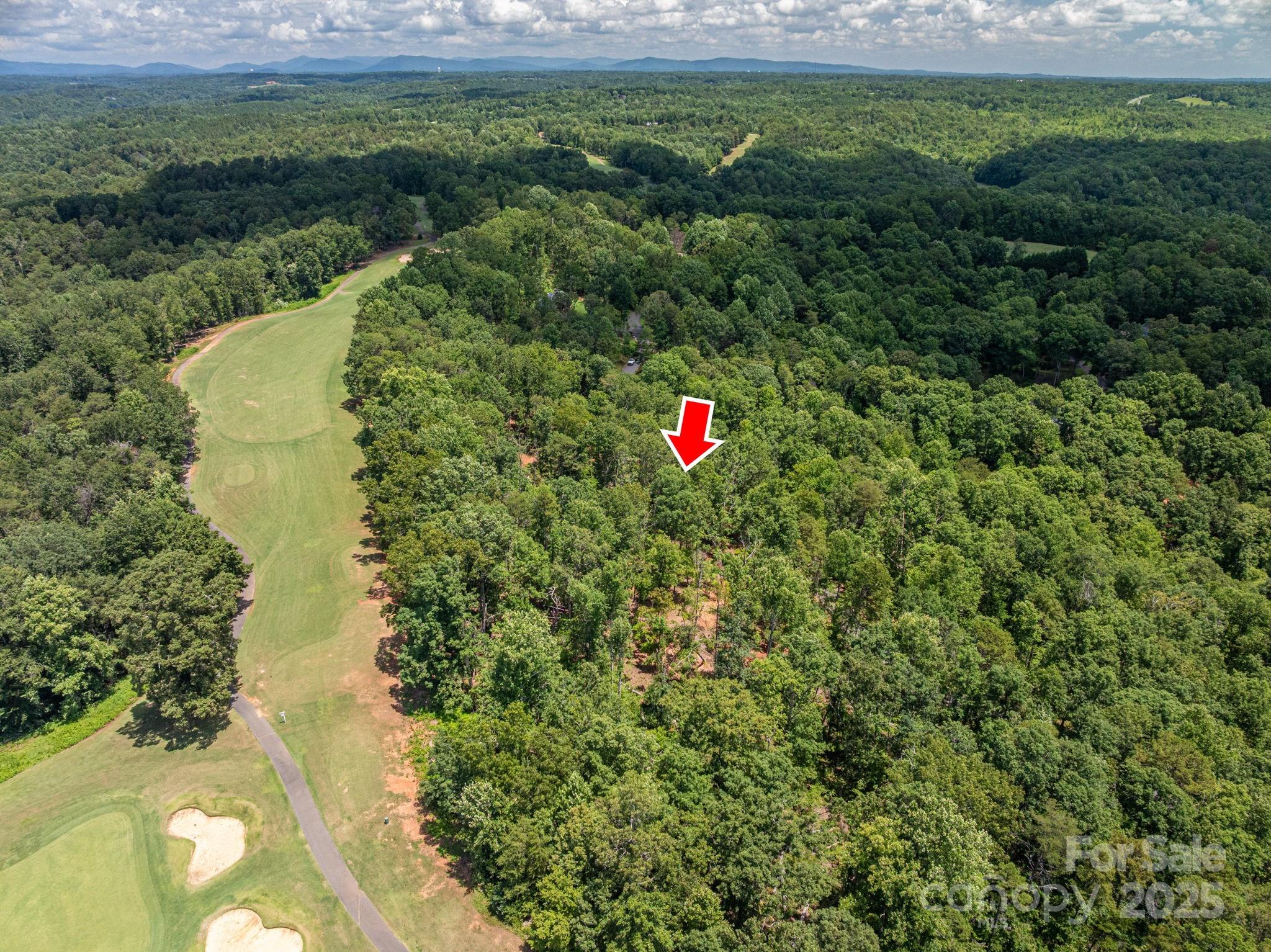 Lot 191 Plantation Drive Rutherfordton NC 28139