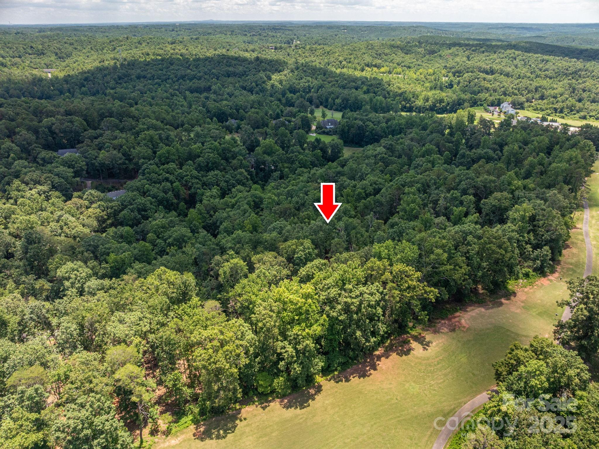Lot 191 Plantation Drive Rutherfordton NC 28139
