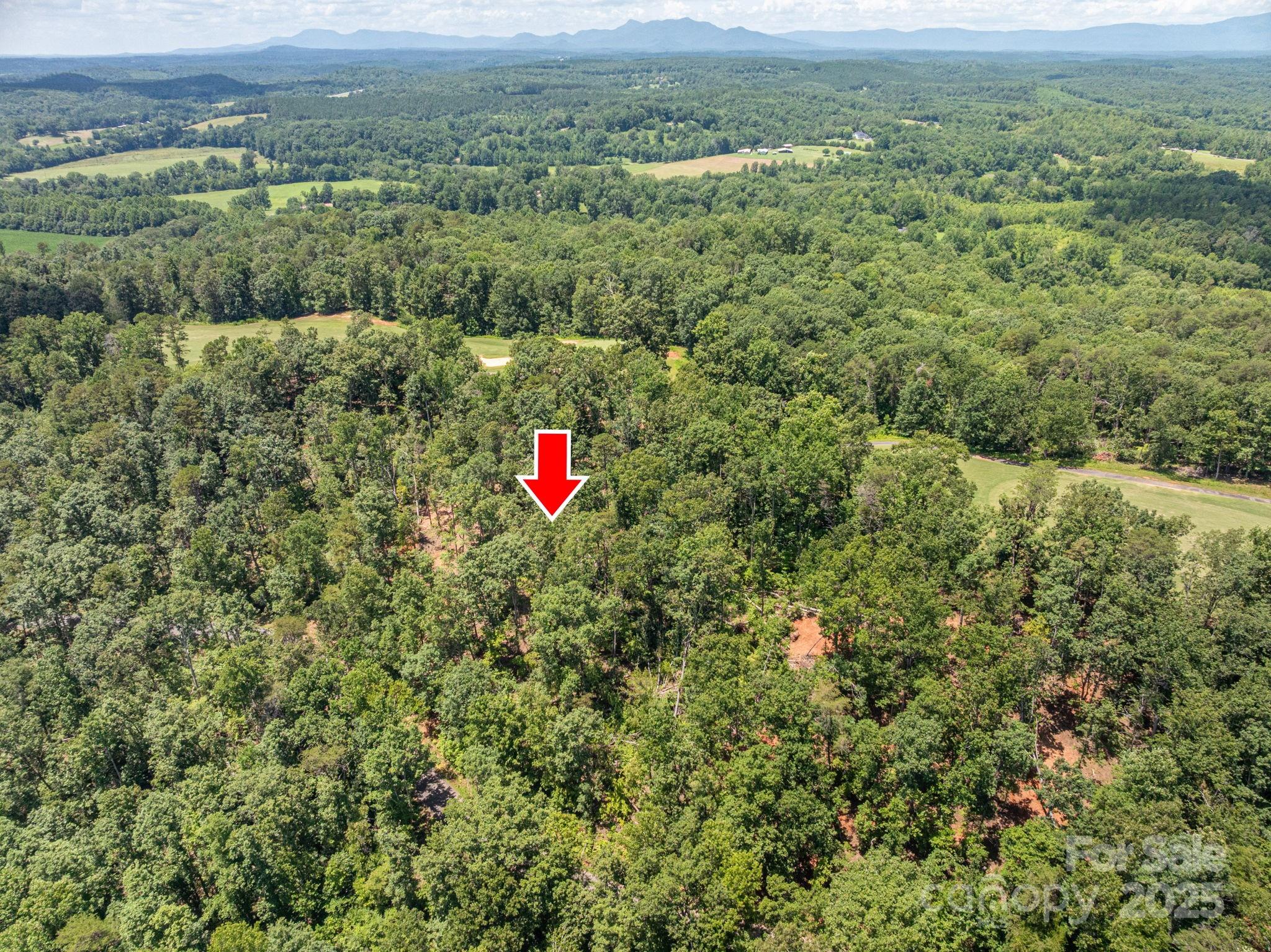 Lot 191 Plantation Drive Rutherfordton NC 28139