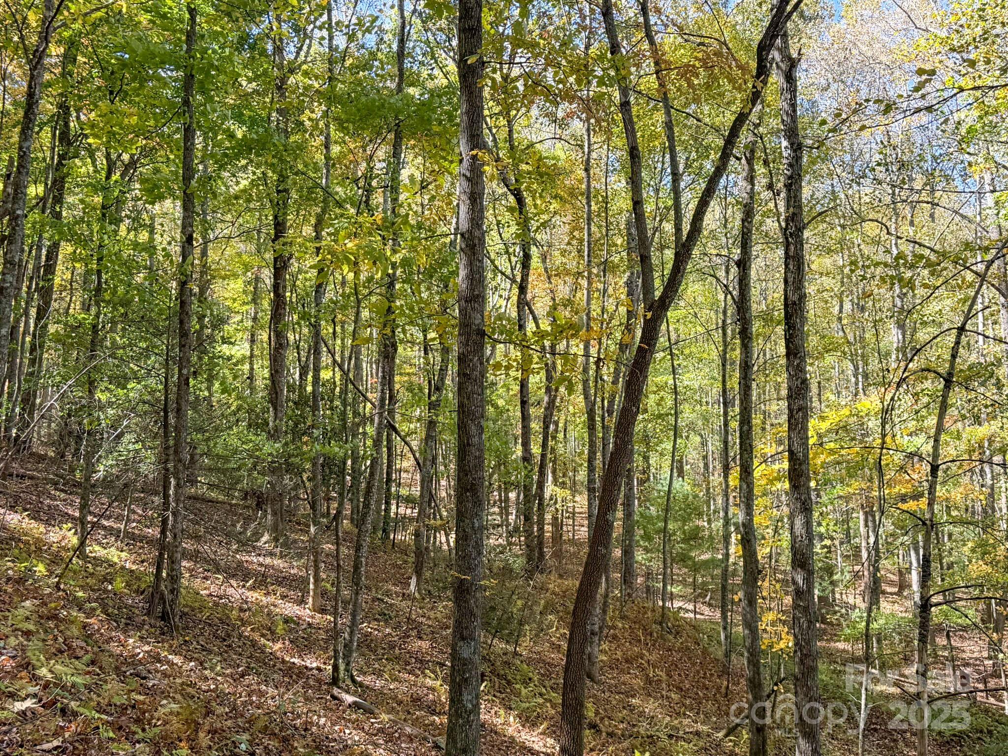 345 Christa Lane Arden NC 28704