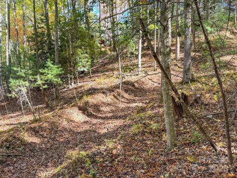 345 Christa Lane Arden NC 28704