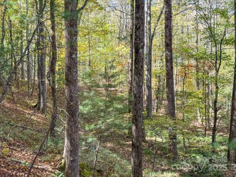 345 Christa Lane Arden NC 28704