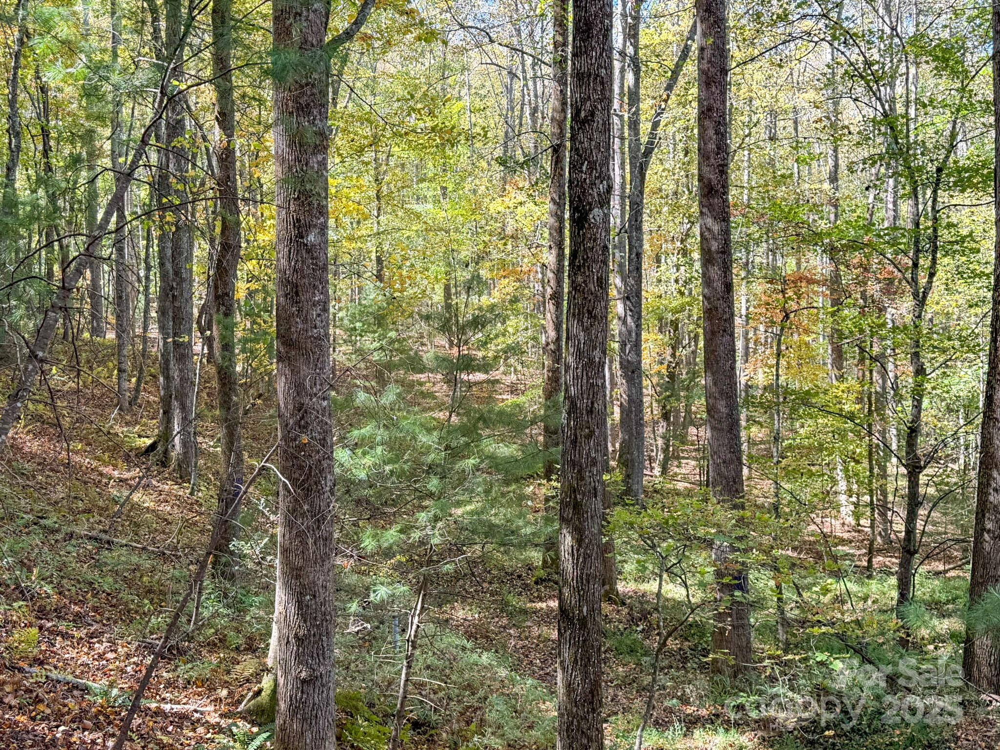 345 Christa Lane Arden NC 28704