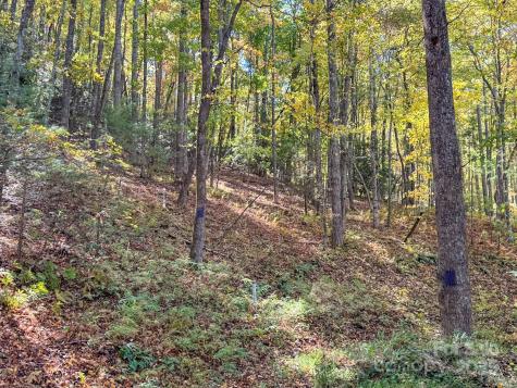345 Christa Lane Arden NC 28704