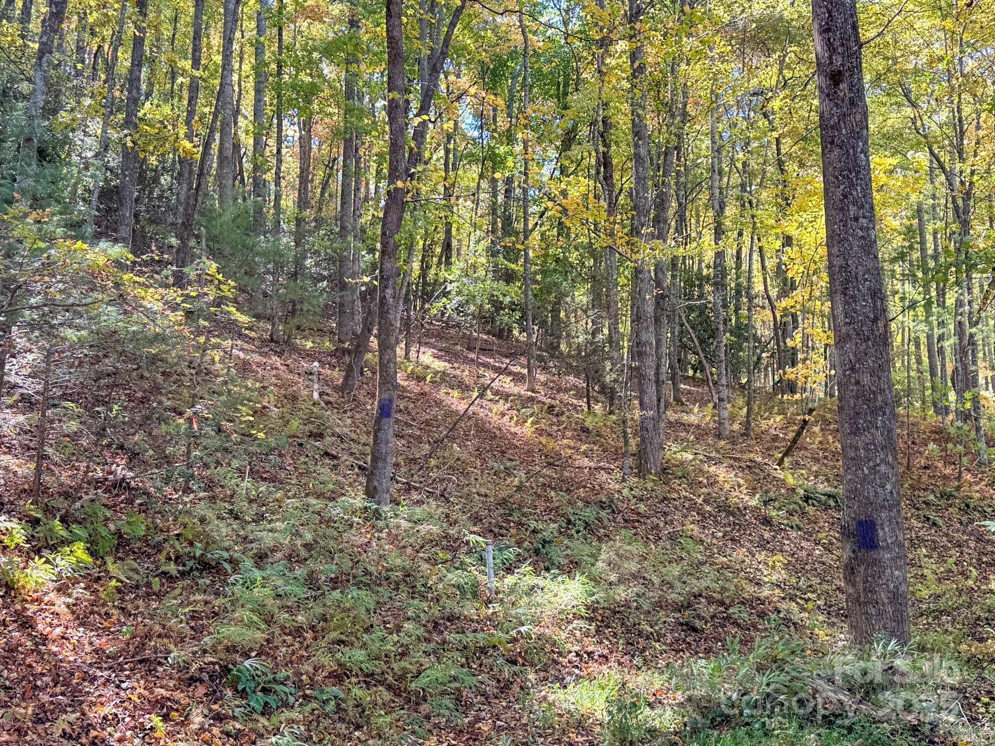345 Christa Lane Arden NC 28704