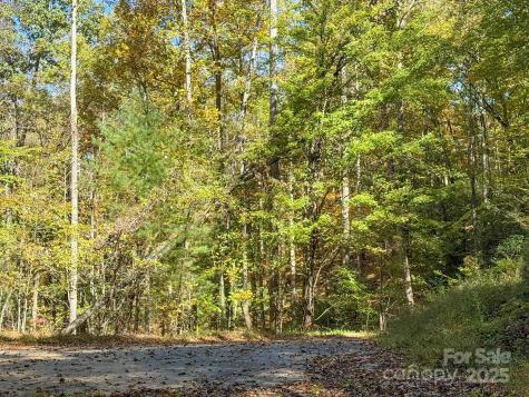 345 Christa Lane Arden NC 28704