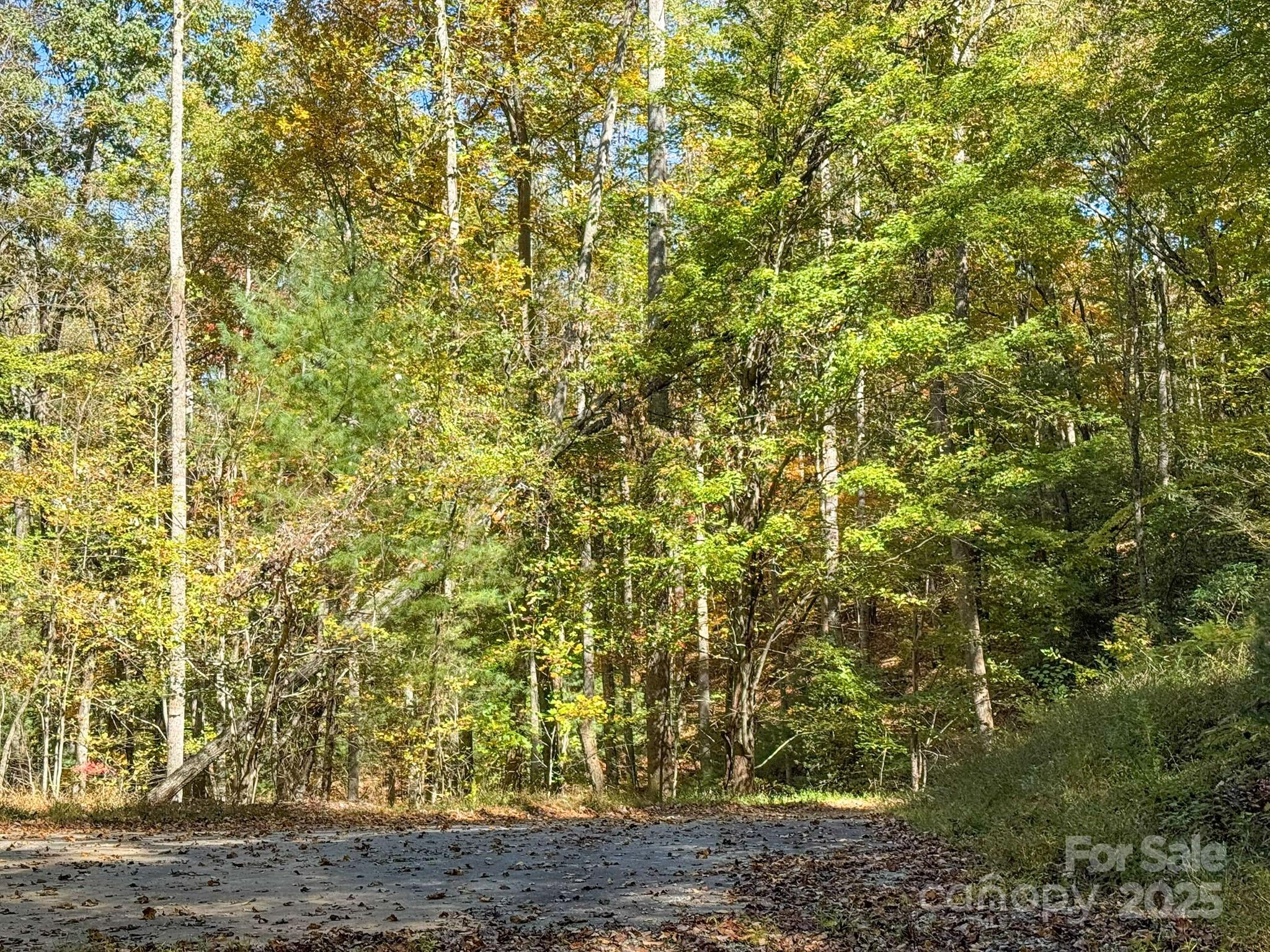 345 Christa Lane Arden NC 28704