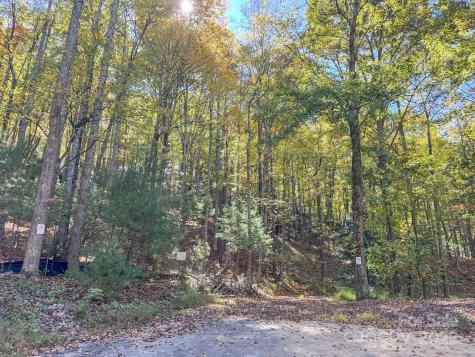 345 Christa Lane Arden NC 28704