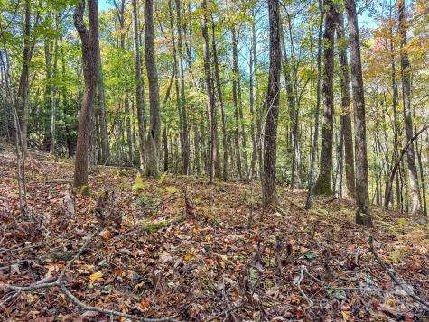 345 Christa Lane Arden NC 28704