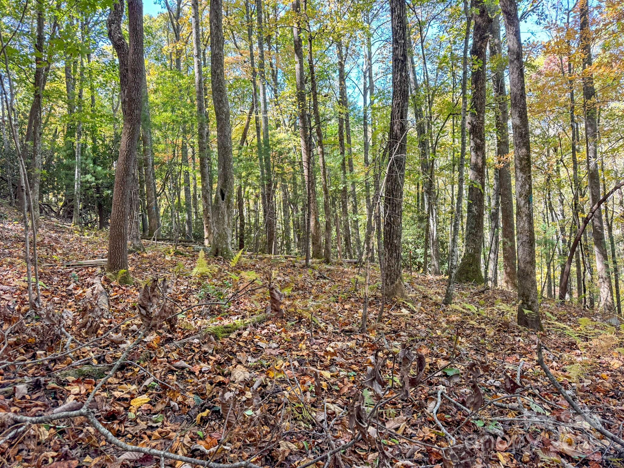 345 Christa Lane Arden NC 28704