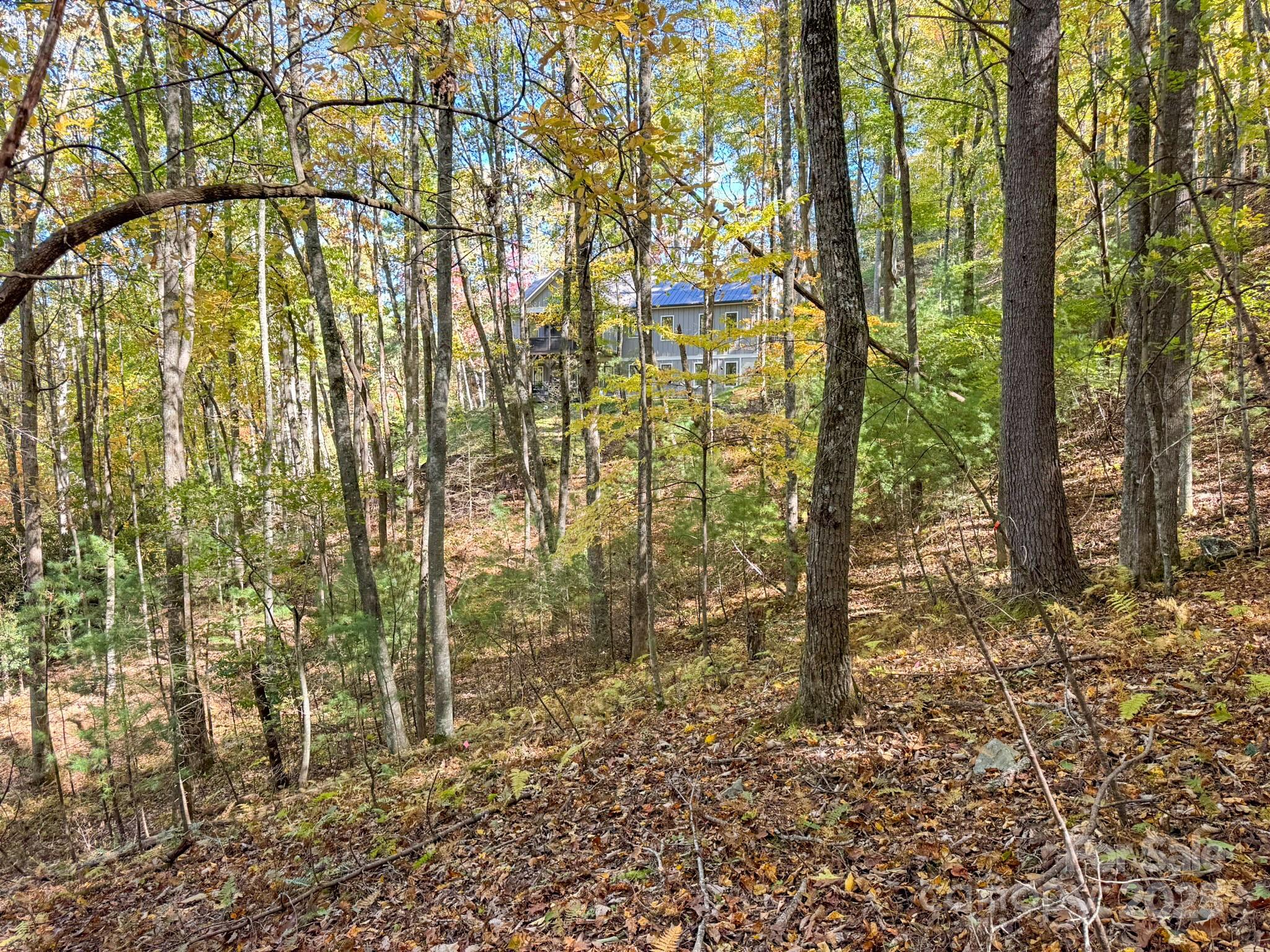 345 Christa Lane Arden NC 28704