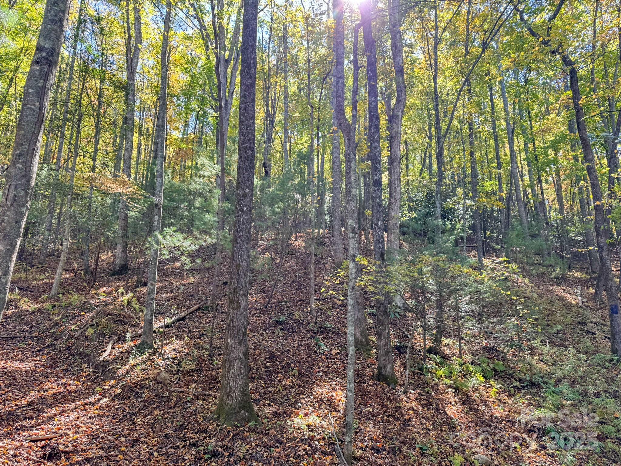 345 Christa Lane Arden NC 28704