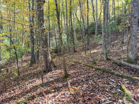 345 Christa Lane Arden NC 28704