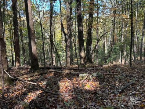 345 Christa Lane Arden NC 28704