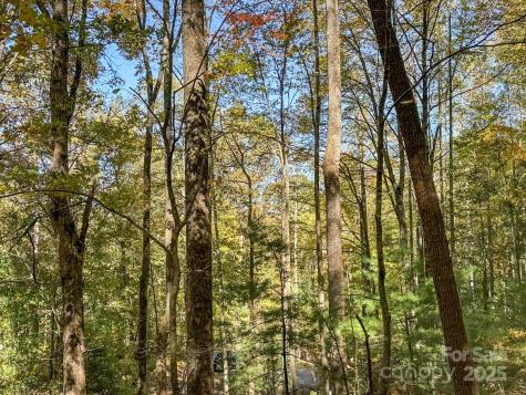345 Christa Lane Arden NC 28704