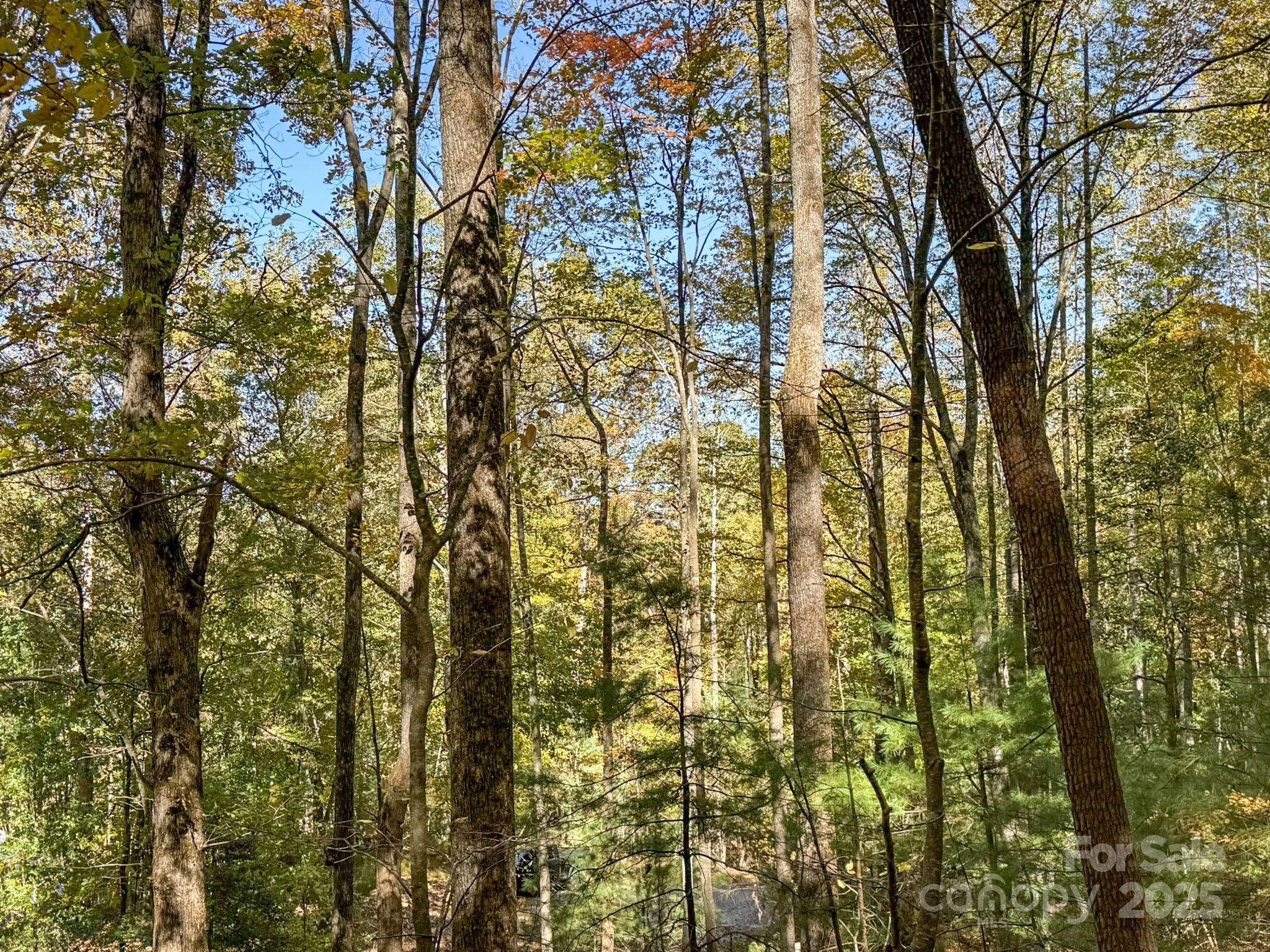 345 Christa Lane Arden NC 28704