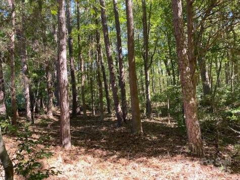 6045 C Campbell Road York SC 29745