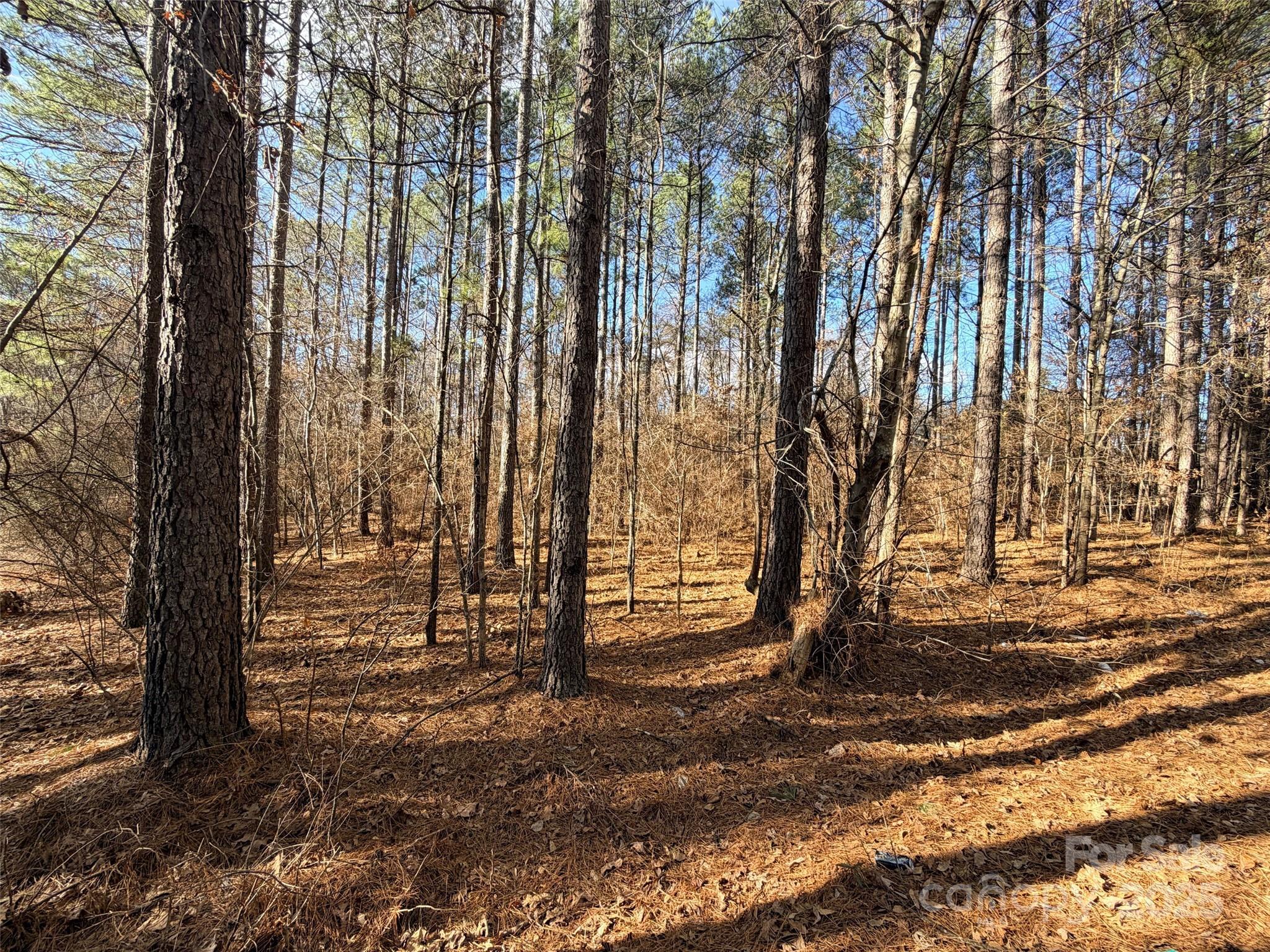 9999 Doggett Grove Road Forest City NC 28043