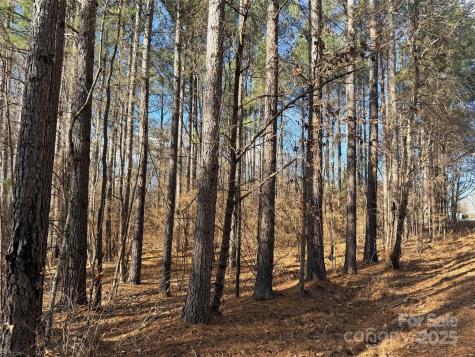 9999 Doggett Grove Road Forest City NC 28043