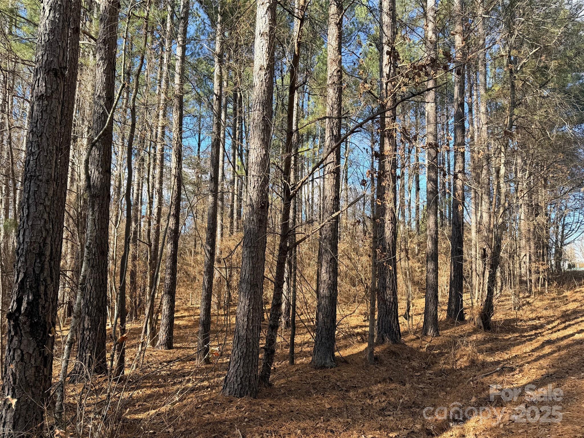 9999 Doggett Grove Road Forest City NC 28043