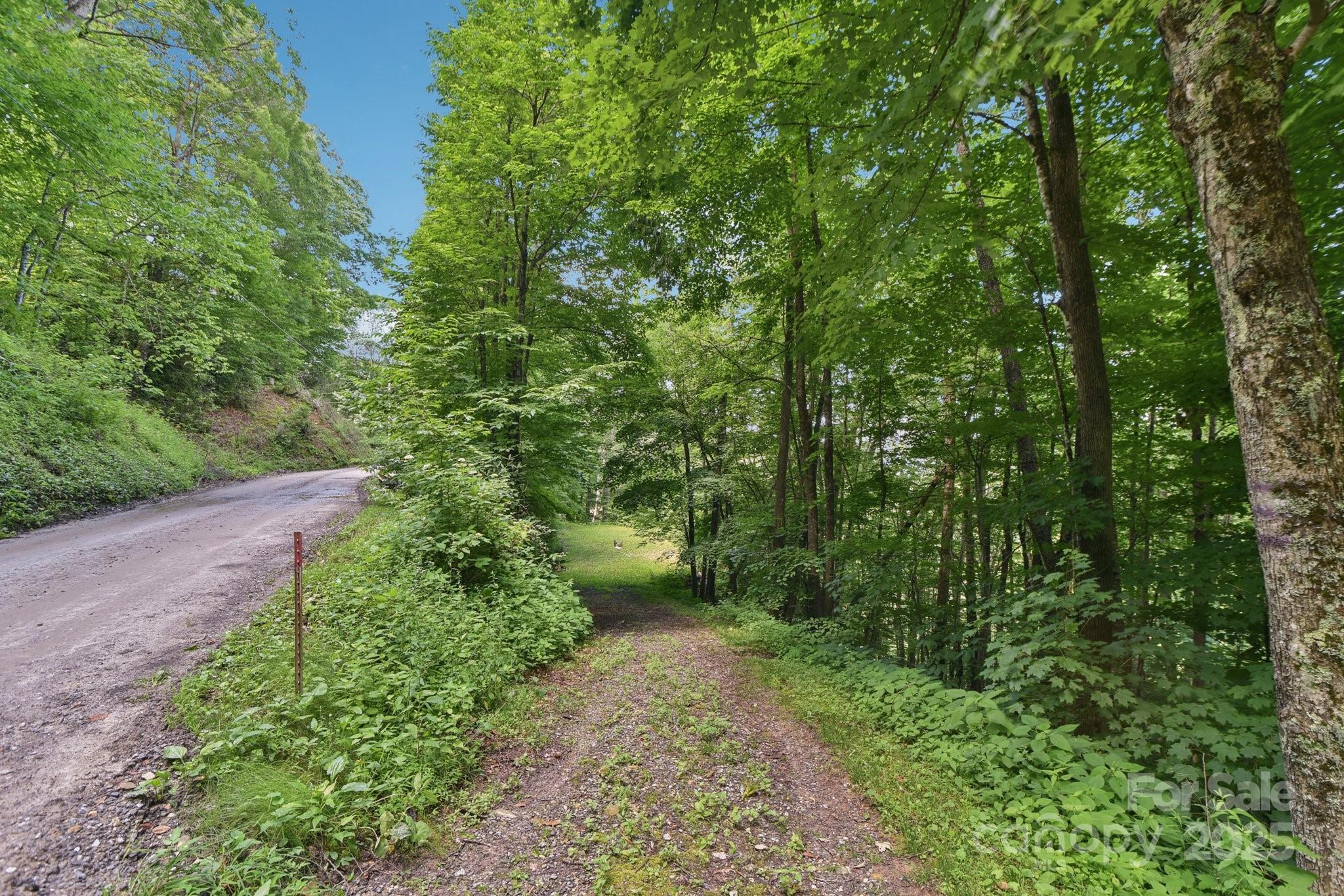 0000 Plott Balsam Road Maggie Valley NC 28751