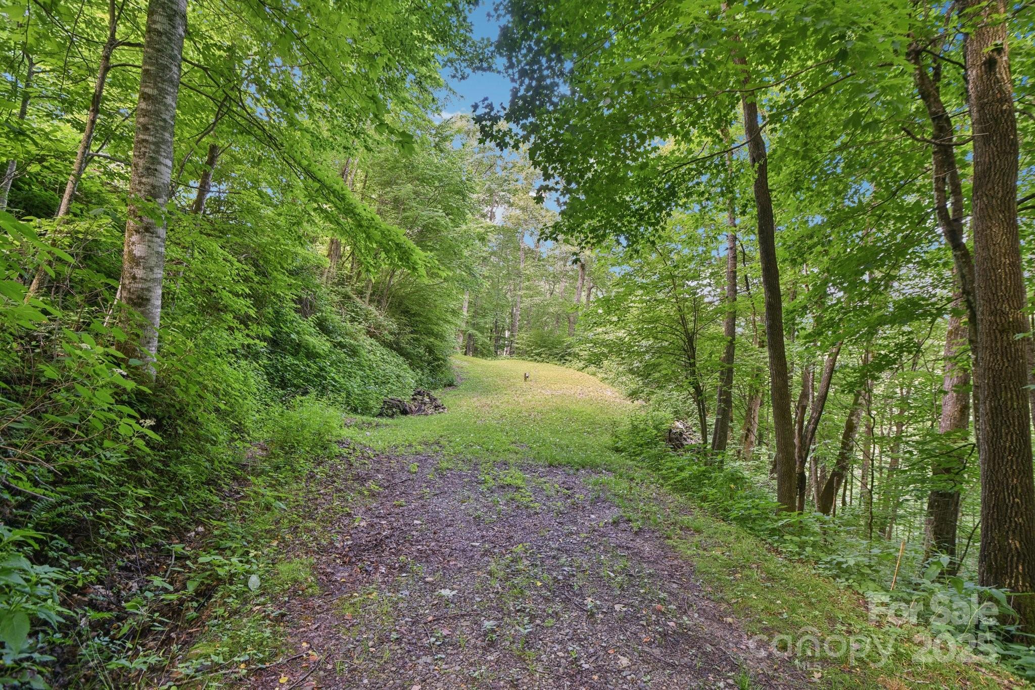 0000 Plott Balsam Road Maggie Valley NC 28751