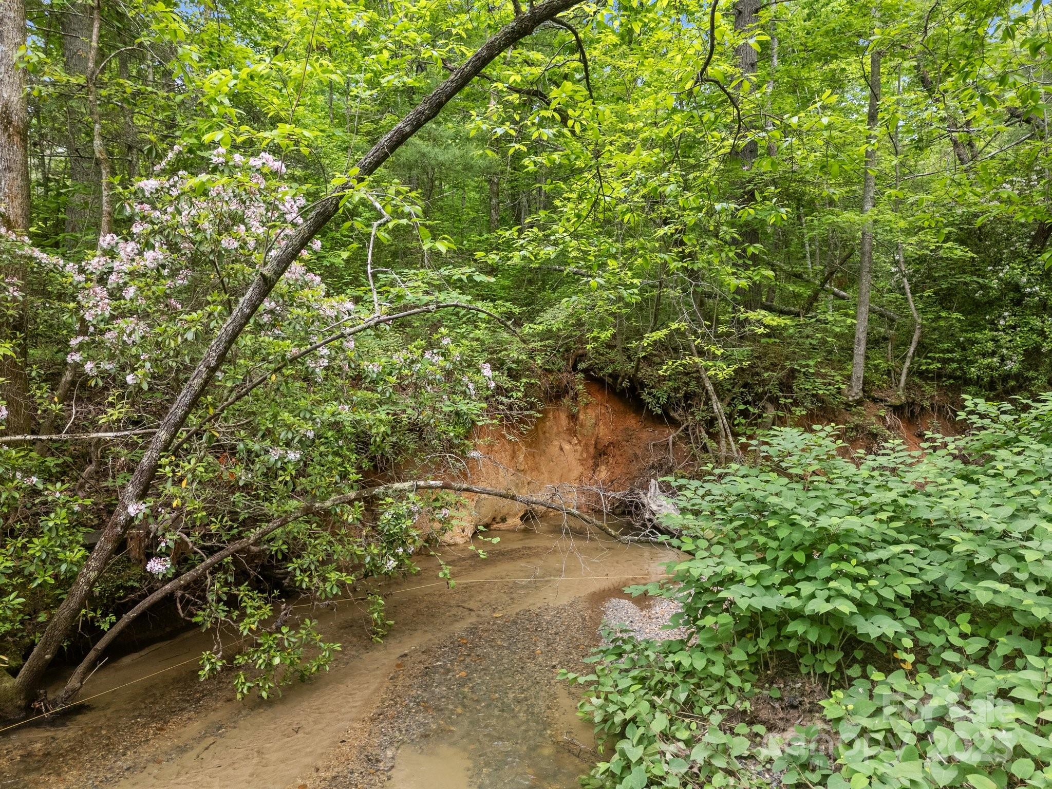 000 Red Fox Lane Flat Rock NC 28731