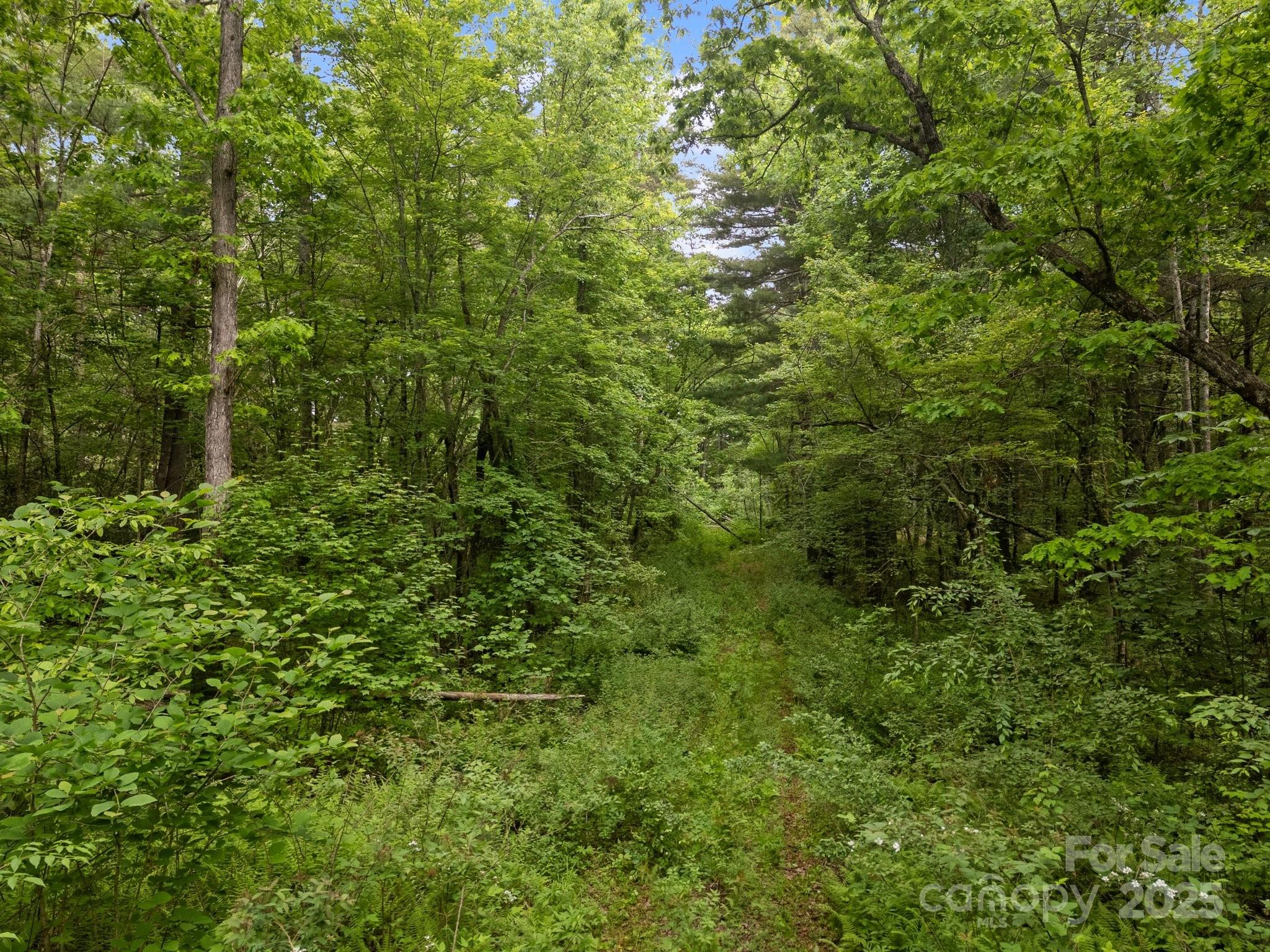 000 Red Fox Lane Flat Rock NC 28731