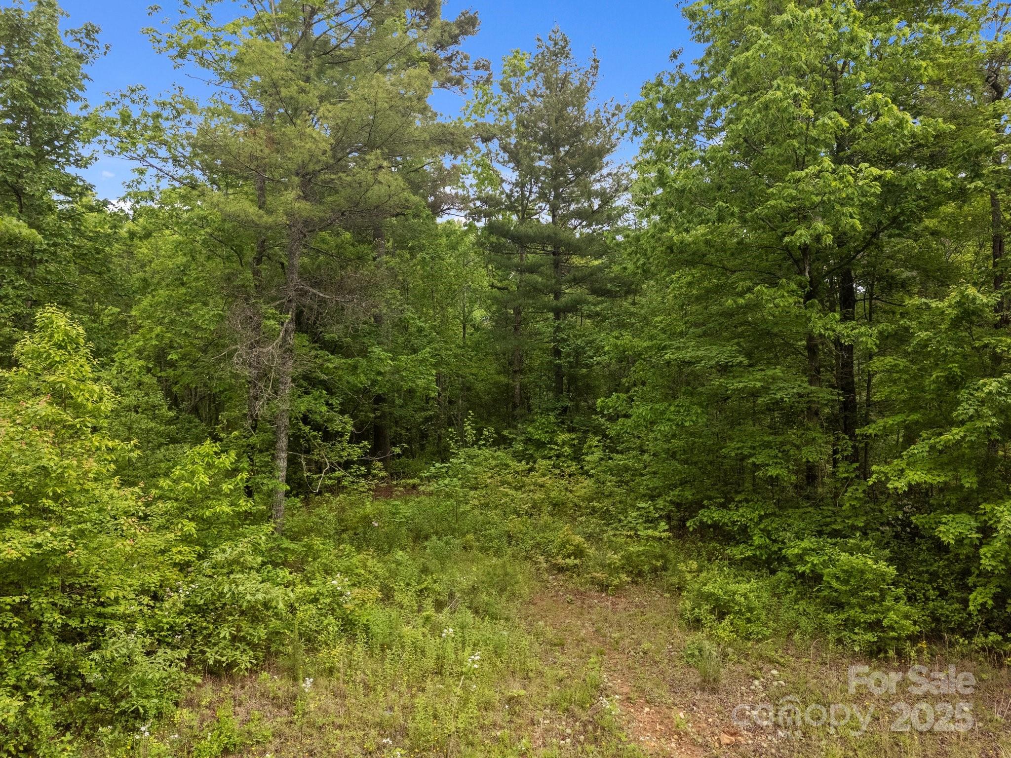 000 Red Fox Lane Flat Rock NC 28731