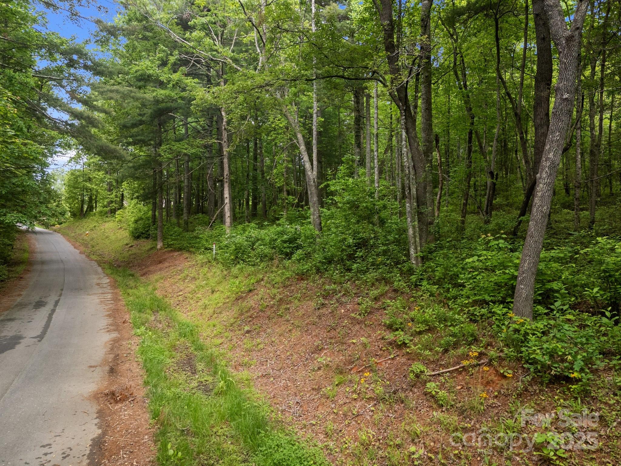 000 Red Fox Lane Flat Rock NC 28731