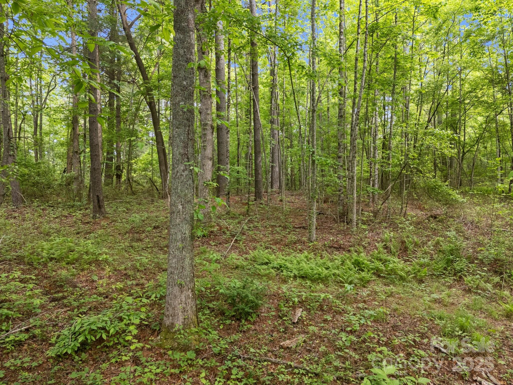 000 Red Fox Lane Flat Rock NC 28731