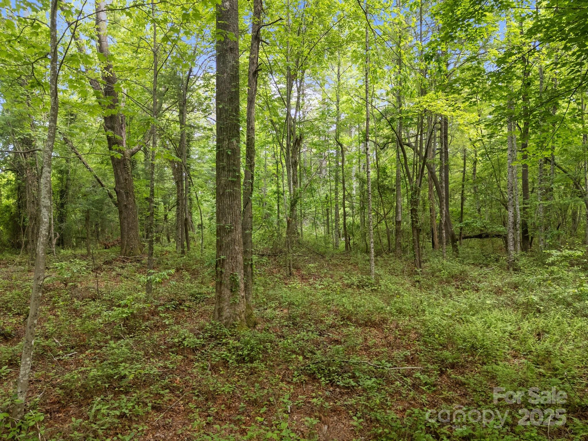 000 Red Fox Lane Flat Rock NC 28731