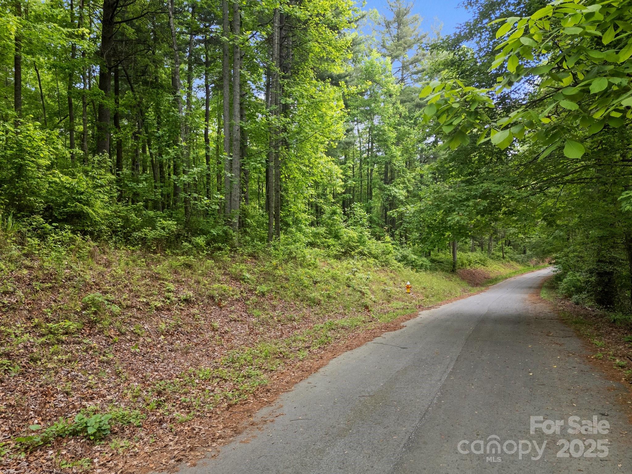 000 Red Fox Lane Flat Rock NC 28731